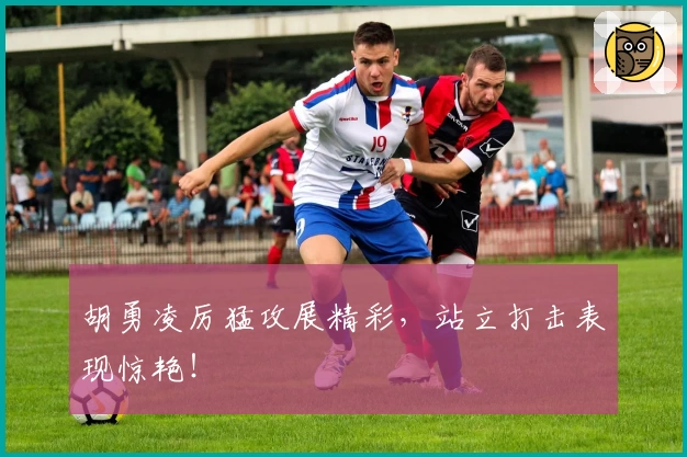胡勇凌厉猛攻展精彩，站立打击表现惊艳！